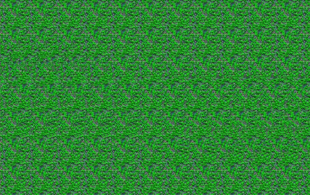 Magic Eye: Illusion, or Delusion?