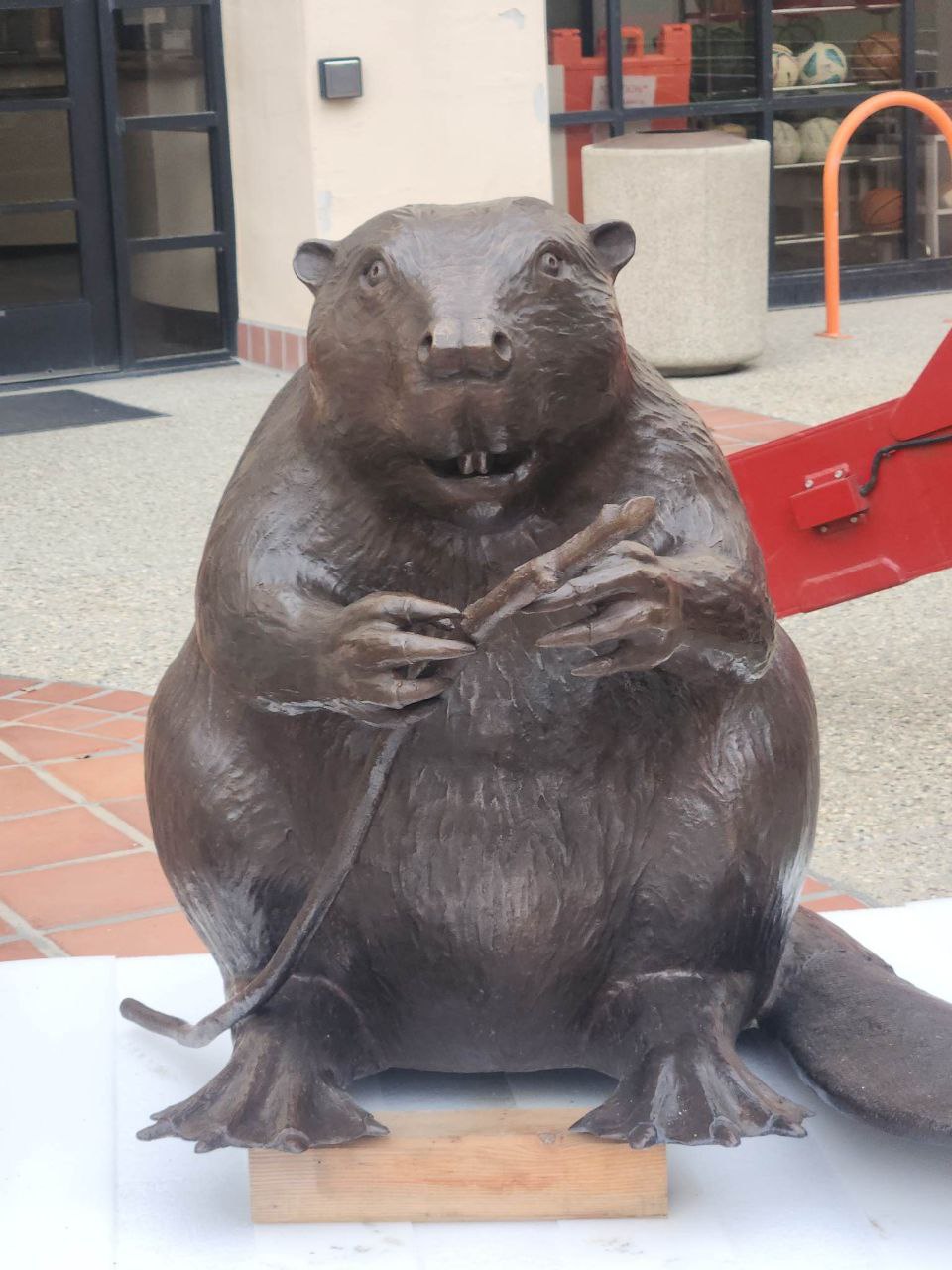 So We Have A Beaver Statue Now.