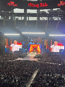 A Concert-Filled SoCal Summer