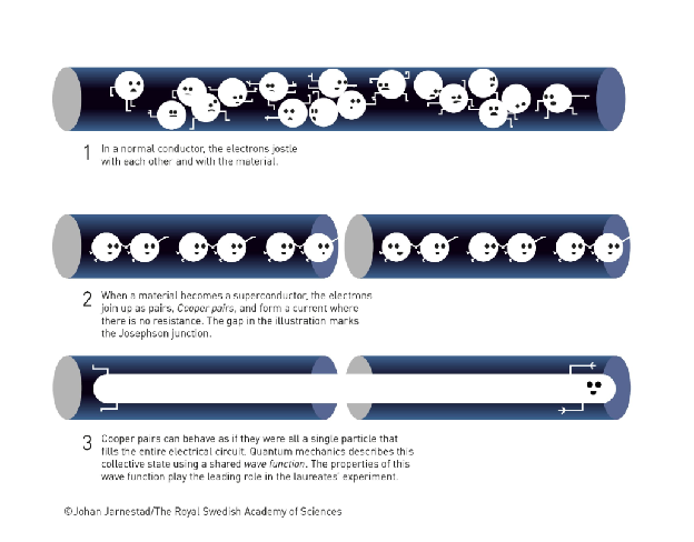 2025 Nobel Prizes Announced